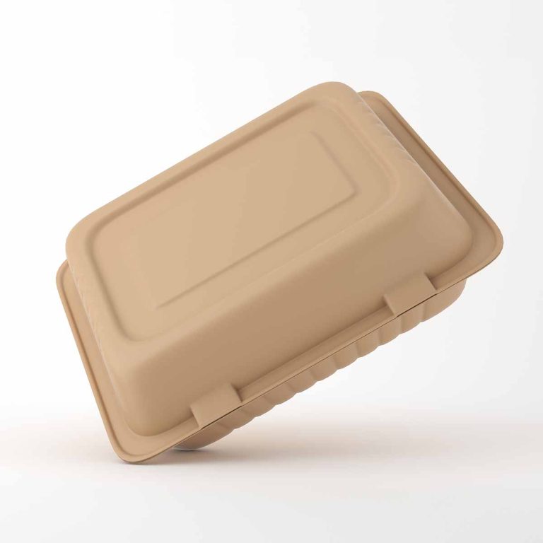 ICO_0005_eco-friendly-sugarcane-clamshell-food-container