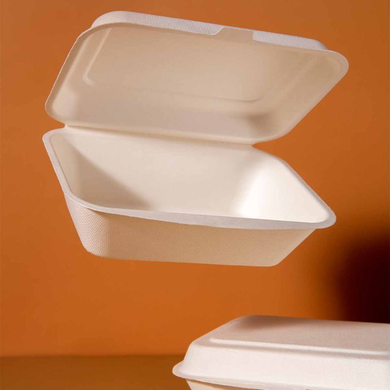 ICO_0006_still-life-cardboard-organic-dinnerware